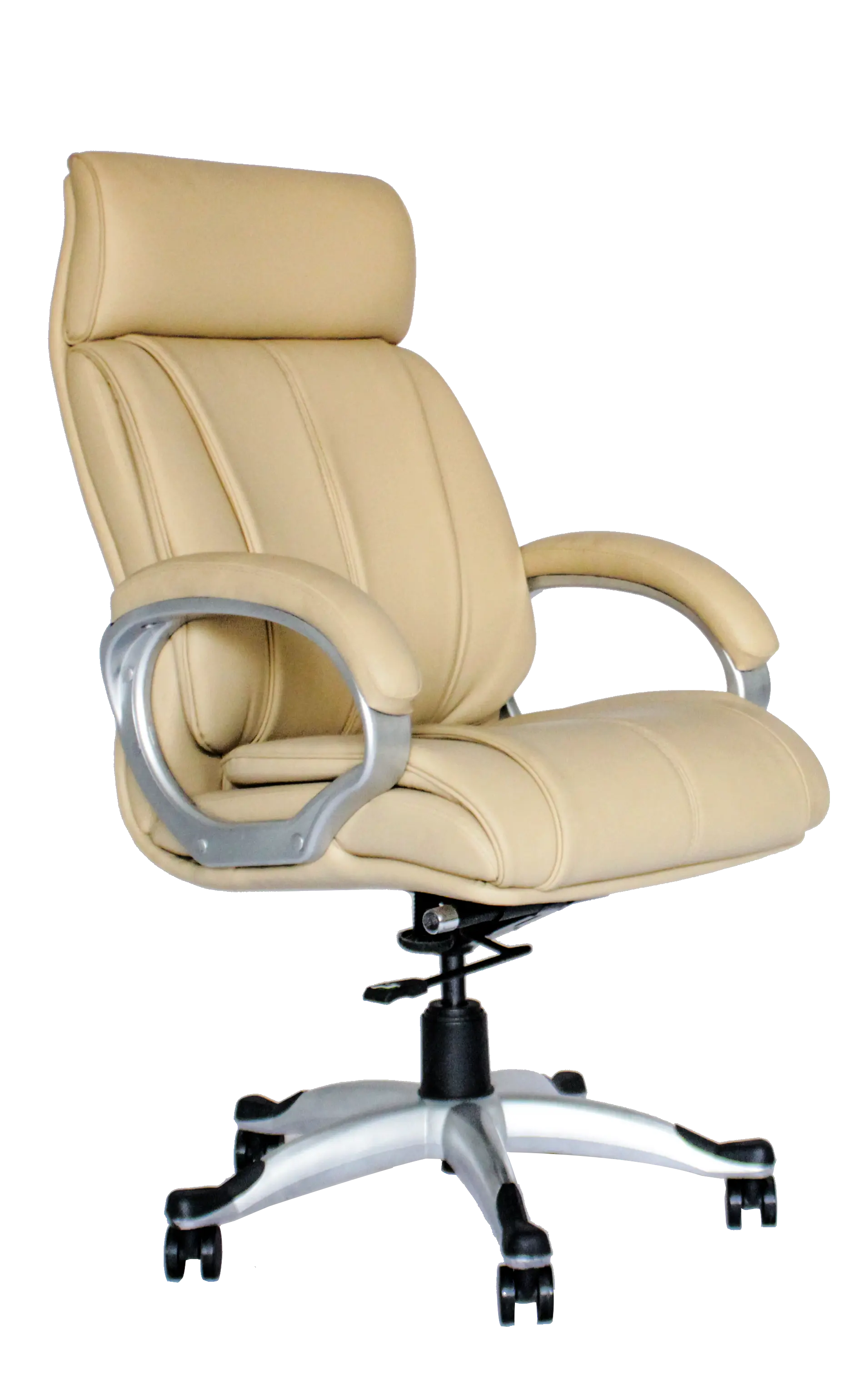 Bold - Executive Chairs In beige color With Side view