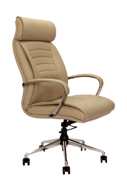 Bold - Executive Chairs In Beige color With Side view