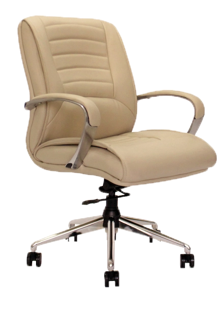 Bold - Executive Chairs In Beige color With Side view