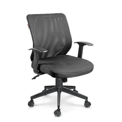 Low Back Chair 