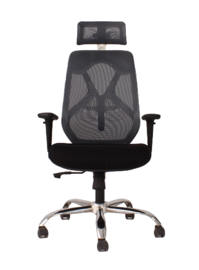Lounge Ergonomiz Chair