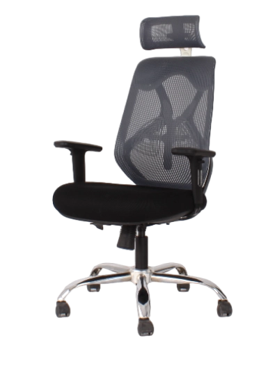 Lounge Ergonomiz Chair